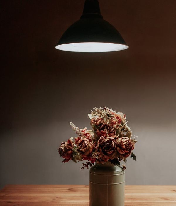 Modern living room interior